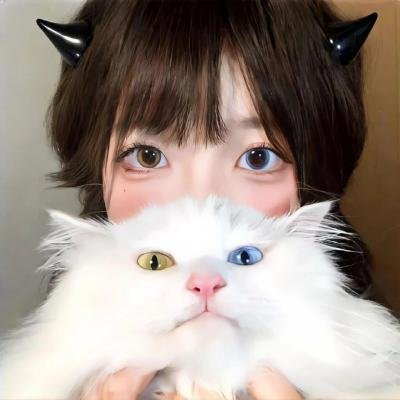 1/2段情